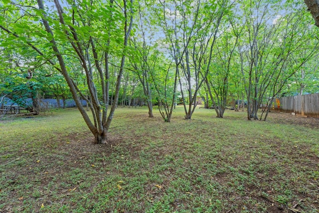 10000 Gail Rd, Austin, TX 78748 - view of yard