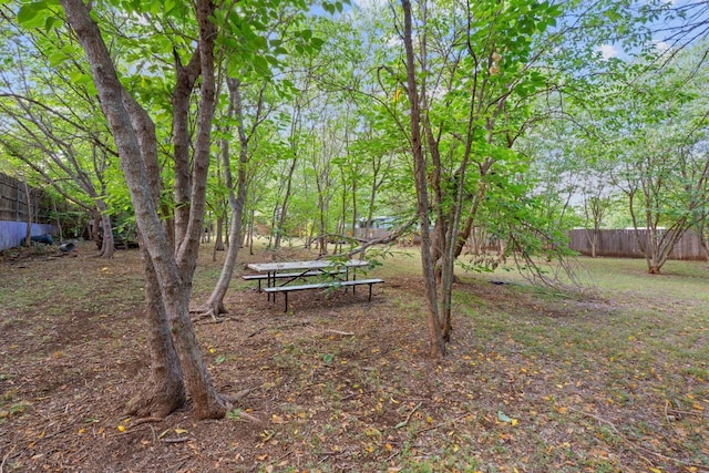 10000 Gail Rd, Austin, TX 78748 - view of yard