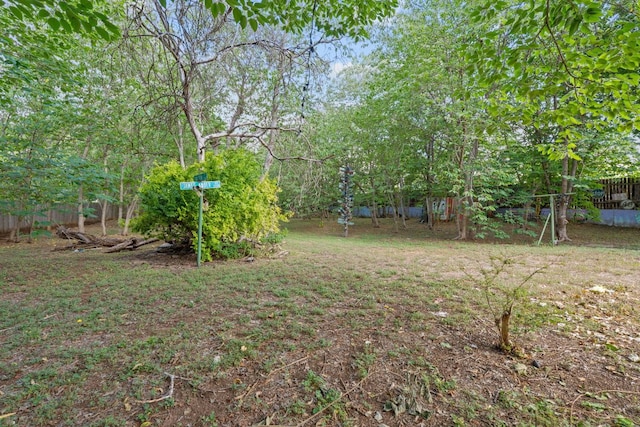 10000 Gail Rd, Austin, TX 78748 - view of yard