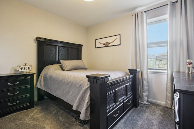 16601 Aventura Ave, Pflugerville, TX 78660 - bedroom featuring dark carpet and baseboards