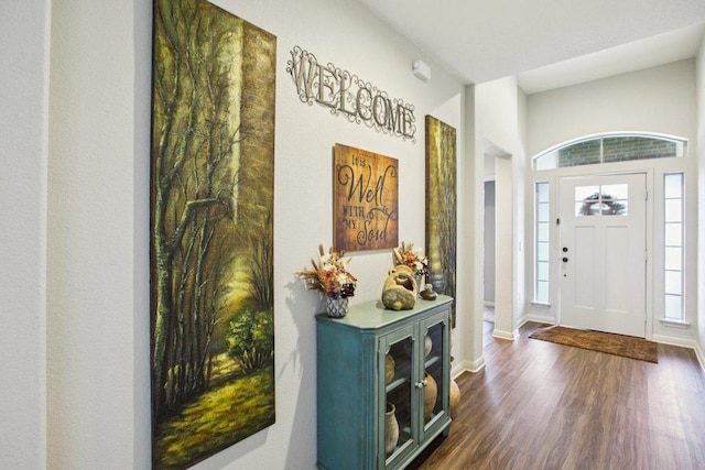 16601 Aventura Ave, Pflugerville, TX 78660 - entrance foyer featuring dark wood finished floors and baseboards