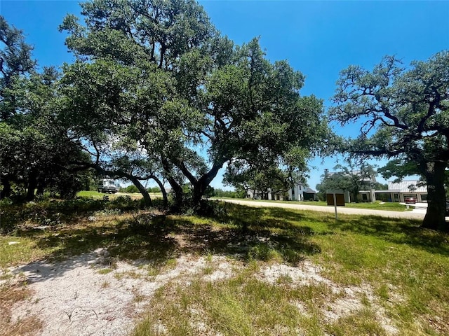175 Charro Vista Dr, Driftwood, TX 78619 - photo 8