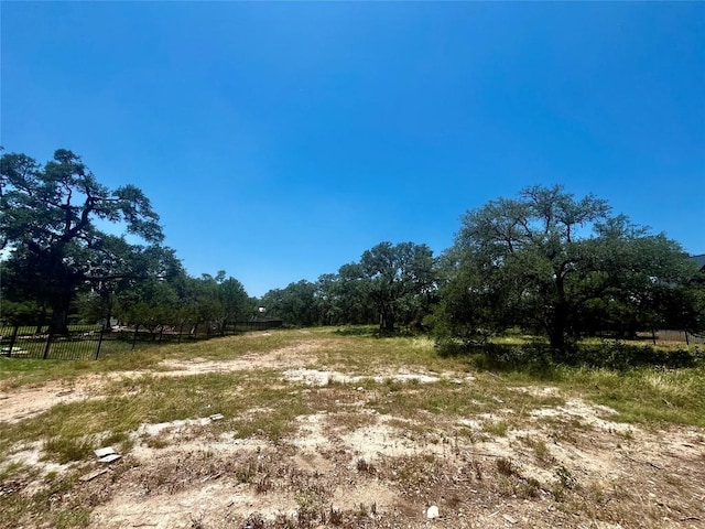 175 Charro Vista Dr, Driftwood, TX 78619 - photo 9
