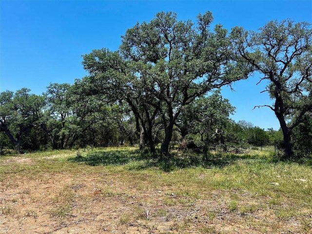 175 Charro Vista Dr, Driftwood, TX 78619 - photo 10