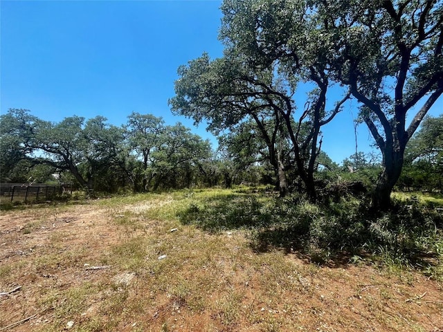 175 Charro Vista Dr, Driftwood, TX 78619 - photo 12