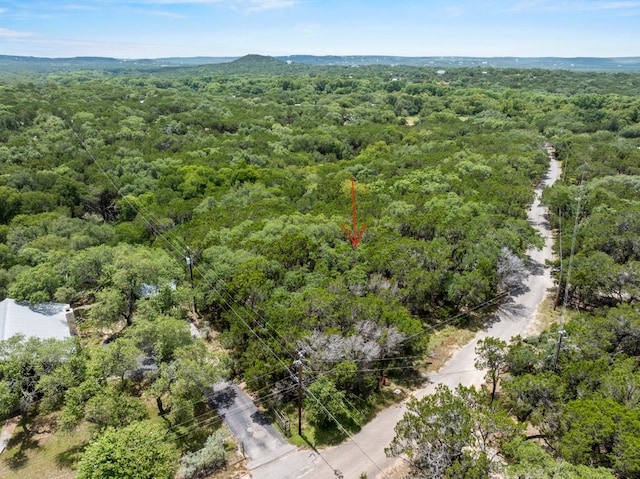 TBD Hillsedge Rd, Wimberley, TX 78676 - photo 4
