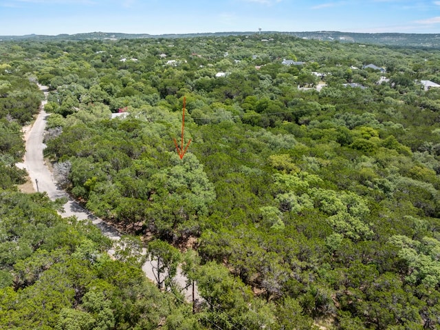 TBD Hillsedge Rd, Wimberley, TX 78676 - photo 5