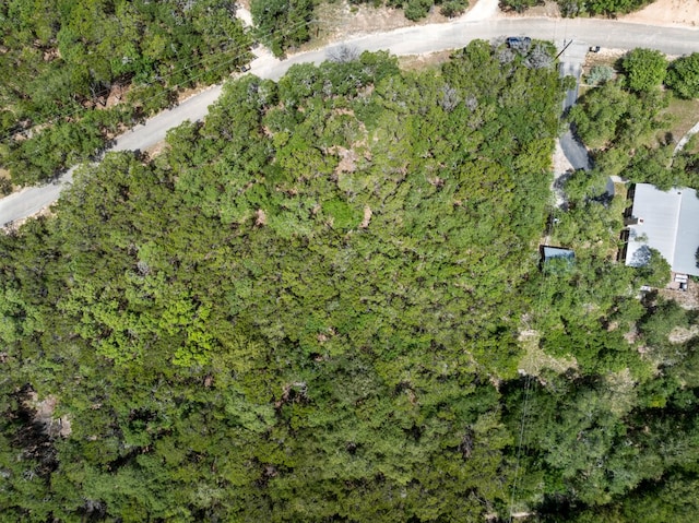 TBD Hillsedge Rd, Wimberley, TX 78676 - photo 6