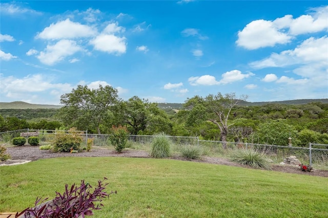 21510 Sierra Trl, Lago Vista, TX 78645 - photo 33