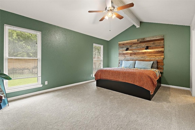 809 Windsor Rd, Round Rock, TX 78664 - carpeted bedroom with multiple windows and ceiling fan