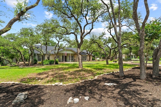11302 Centennial Trl, Austin, TX 78726 - view of green lawn