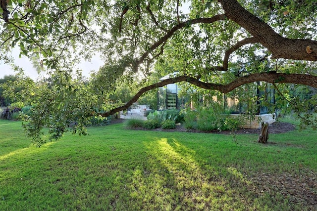 707 Campino Dr, Cedar Park, TX 78613 - view of green lawn