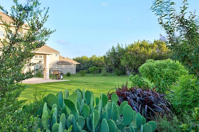 707 Campino Dr, Cedar Park, TX 78613 - view of yard with a patio