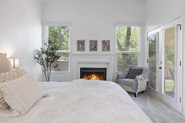 2901 Rochelle Dr, Austin, TX 78748 - bedroom featuring access to outside, carpet, multiple windows, a lit fireplace, and vaulted ceiling