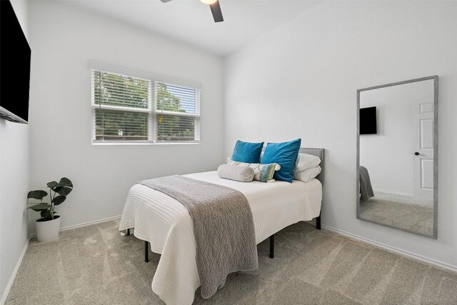 2901 Rochelle Dr, Austin, TX 78748 - bedroom featuring carpet and ceiling fan