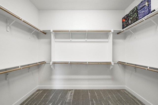 409 July Johnson Dr, Austin, TX 78737 - walk in closet featuring carpet floors
