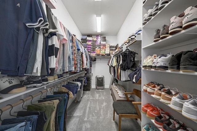 409 July Johnson Dr, Austin, TX 78737 - spacious closet with carpet floors