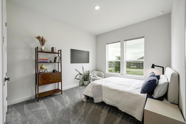 409 July Johnson Dr, Austin, TX 78737 - bedroom featuring carpet floors and recessed lighting