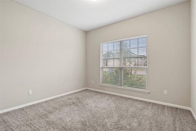 244 Scenic Hills Cir, Georgetown, TX 78628 - photo 5