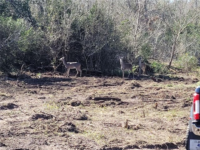 8530 Fm 153, La Grange, TX 78945