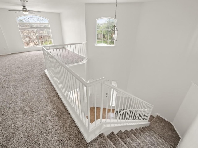 15000 Boquillas Canyon Dr, Austin, TX 78717 - photo 12