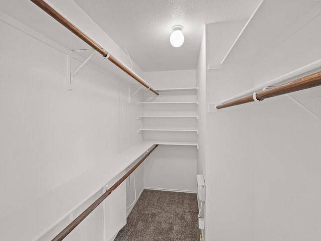 15000 Boquillas Canyon Dr, Austin, TX 78717 - photo 21