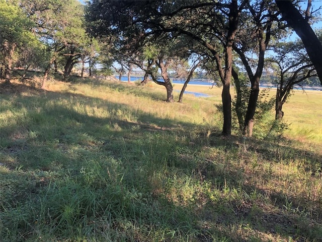 2703 Custer Cv, Leander, TX 78645