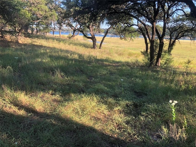 2703 Custer Cv, Leander, TX 78645