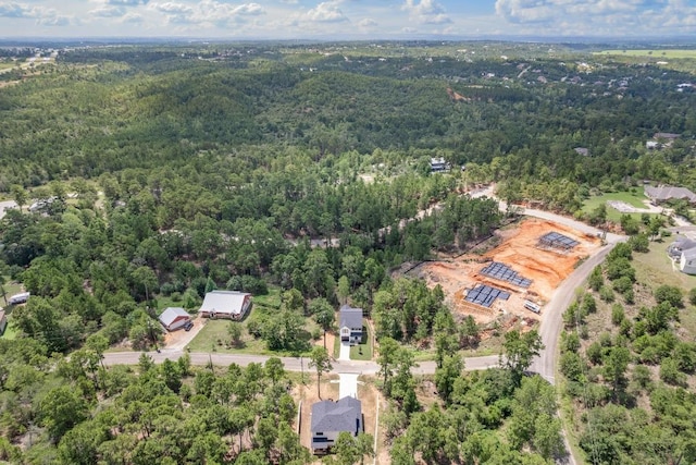 161 Honopu Dr, Bastrop, TX 78602 - bird's eye view of a heavily wooded area