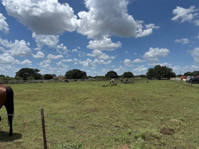 550 Shell Stone Trl, Georgetown, TX 78628 - photo 2