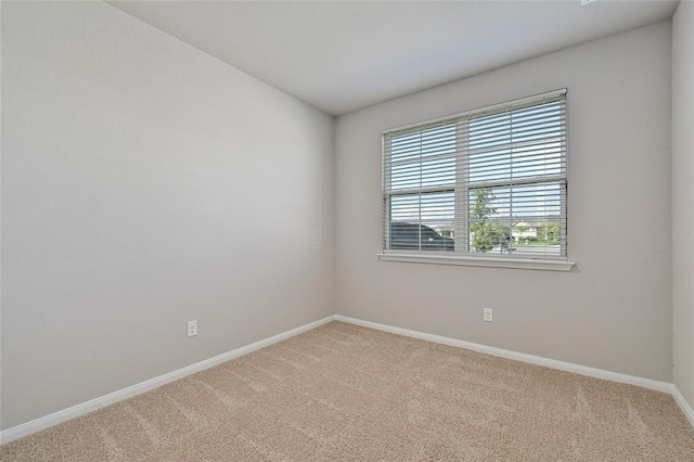 222 Coralbean Dr, Kyle, TX 78640 - photo 18