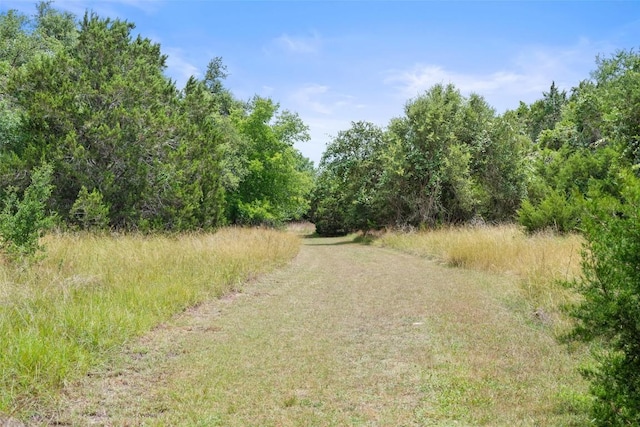 152 Hucks Hideaway, Dripping Springs, TX 78620 - photo 33
