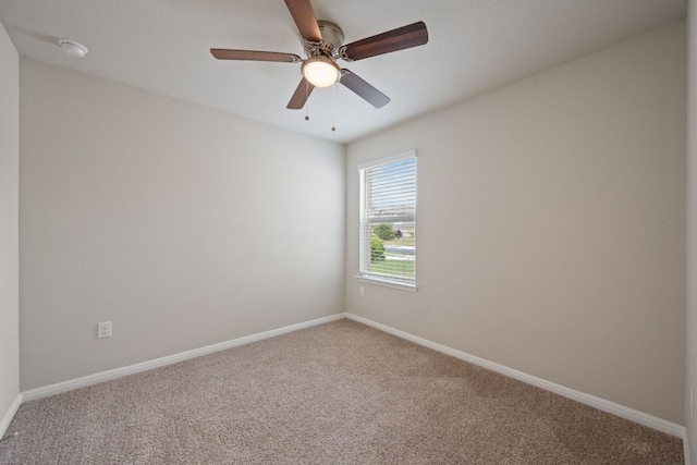433 Dubina Ave, Georgetown, TX 78626 - photo 19