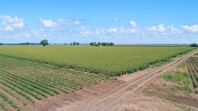 12485 Sandy Point Rd, Bryan, TX 77807 - photo 1