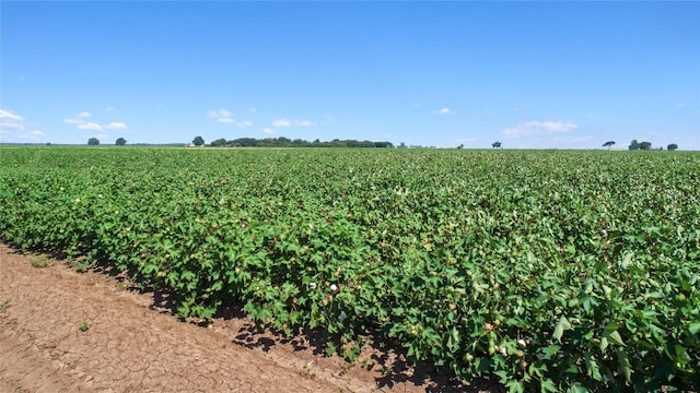 12485 Sandy Point Rd, Bryan, TX 77807 - photo 10