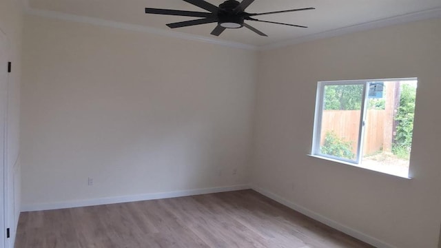 2118 Zephyr Ln, Round Rock, TX 78664 - photo 12