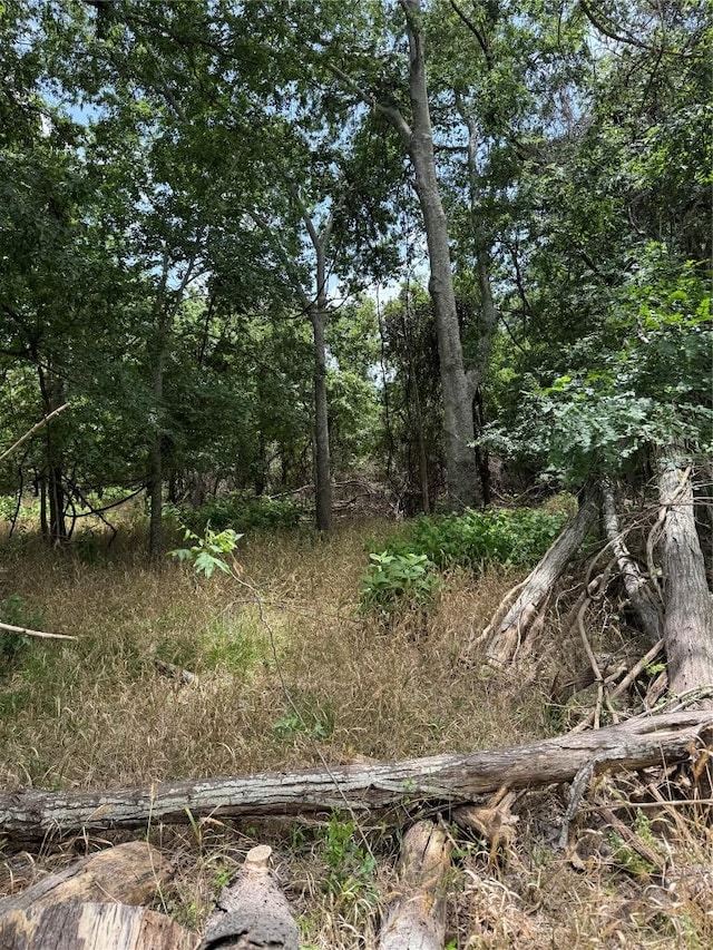 LOT904 Kahana Ln, Bastrop, TX 78602
