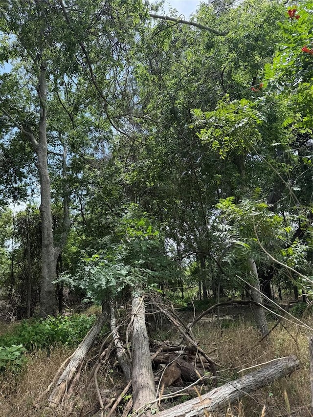 LOT904 Kahana Ln, Bastrop, TX 78602