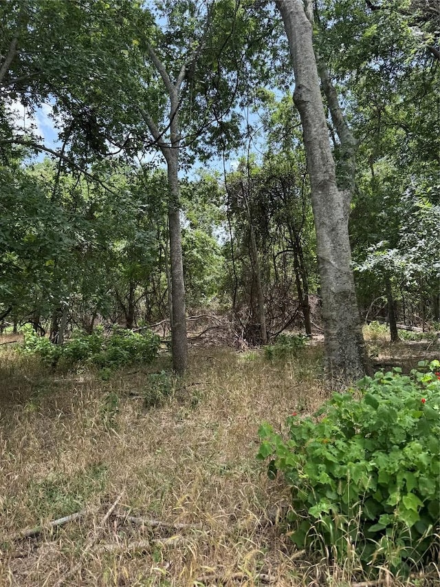 LOT904 Kahana Ln, Bastrop, TX 78602