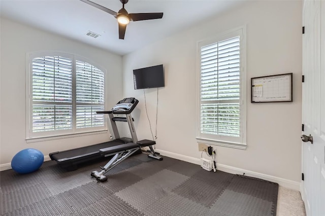 217 Emerald Ridge Dr, Austin, TX 78732 - exercise area with a ceiling fan and healthy amount of natural light