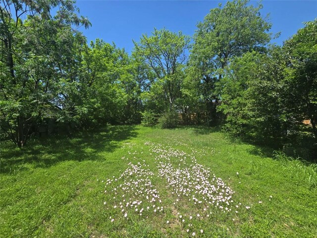 6800 Tulane Dr, Austin, TX 78723 - photo 24