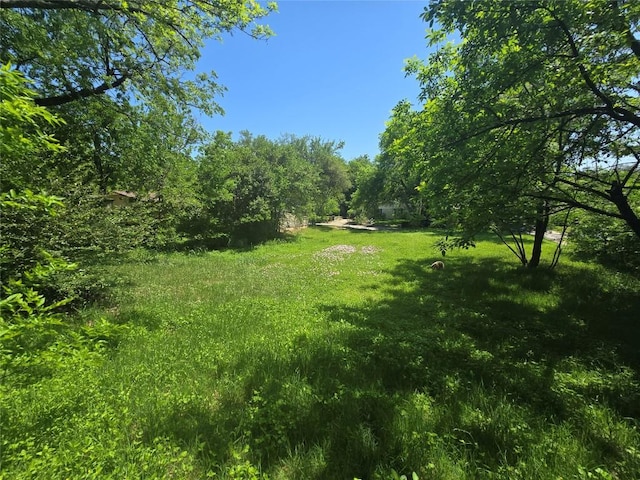 6800 Tulane Dr, Austin, TX 78723 - photo 25