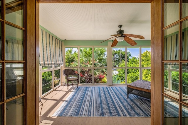 903 E 14th St, Austin, TX 78702 - sunroom featuring ceiling fan and plenty of natural light
