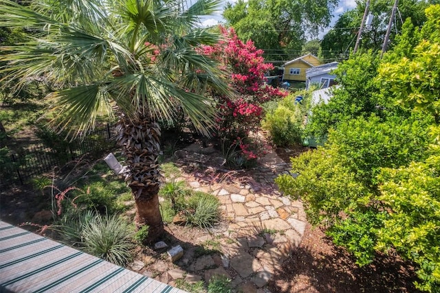 903 E 14th St, Austin, TX 78702 - view of yard