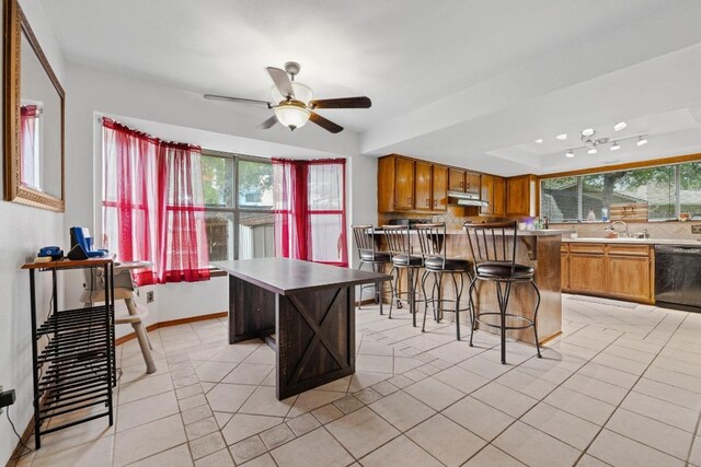 1303 Creekview Dr, Round Rock, TX 78681 - kitchen featuring dishwasher, a ceiling fan, brown cabinetry, a raised ceiling, and light tile patterned floors