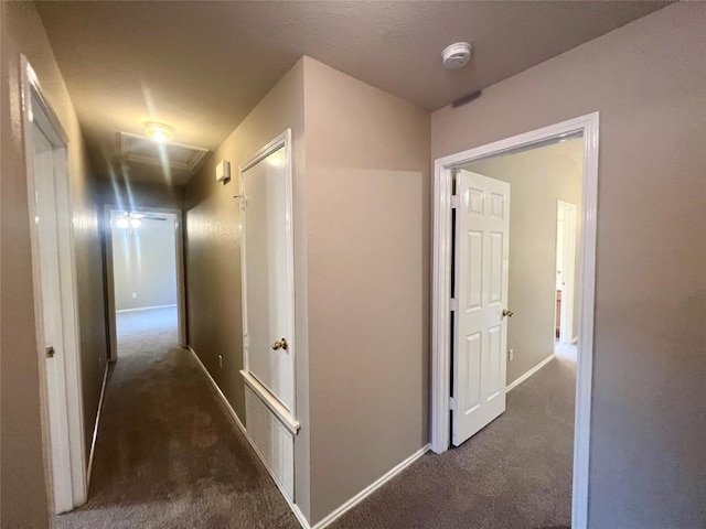 149 Steele, Kyle, TX 78640 - photo 20