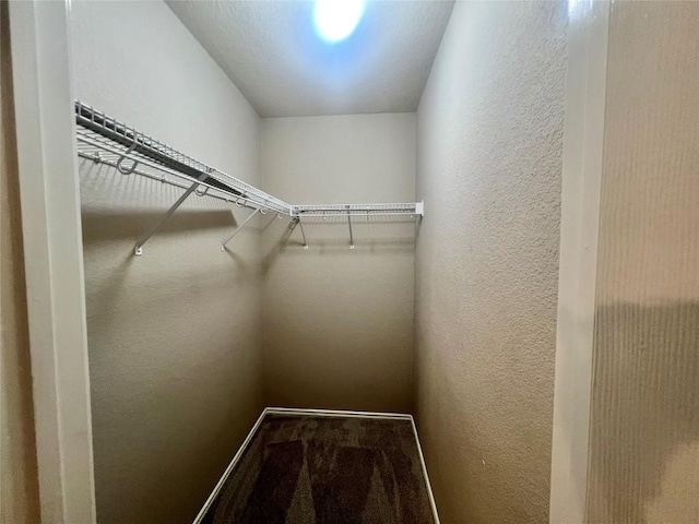 149 Steele, Kyle, TX 78640 - photo 31
