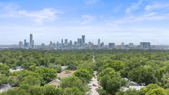 5507 Duval St Unit A, Austin, TX 78751 - skyline view with a forest