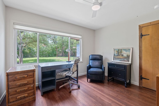 2609 Ellise Ave, Austin, TX 78757 - home office with dark wood-style flooring, healthy amount of natural light, and a ceiling fan