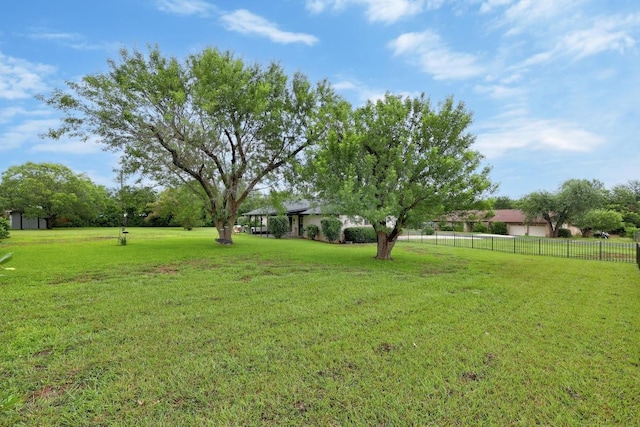 1411 Shenandoah Dr, Cedar Park, TX 78613 - view of yard